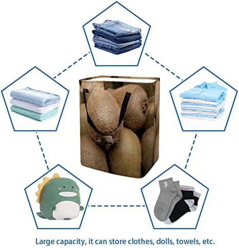 סל כביסה מתקפל בהדפס קיווי, סלי כביסה עמידים למים 60 ליטר אחסון צעצועי כביסה לחדר שינה בחדר האמבטיה