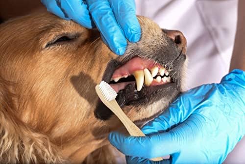 מברשת שיניים לכלבים אקוטבו 6 מארז, מברשות שיניים במבוק לחתול מחמד, מברשת שיניים דו צדדית קטנה וגדולה לכלבים