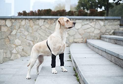 טוטוג ' ונג כלב רגל פלטה כלב הברך רפידות עבור רגליים קדמיות,כלב הברך סד, מתכוונן כלב קדמי רגל הברך