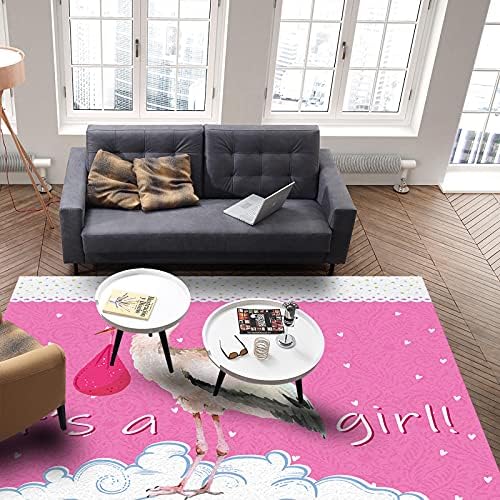 שטיחי אזור מודרניים מקורה לסלון, כניסה לחסידה בצבע מים בצבעי חסידה מחצלת מגרד שטיחים בערים נמוכה לחדר שינה