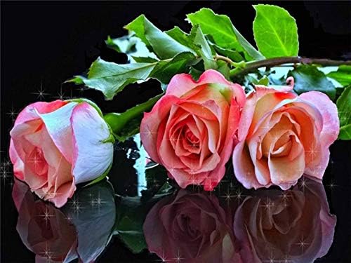 QGHZSCS צבע לפי מספרים ציור דיגיטלי פרחי ורדים תחביבים ומלאכה A4