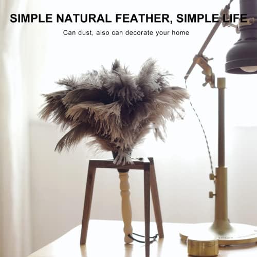 SetSail Feather Duster, אבק נוצות יען טבעי פלאפי לניקוי עם ידית עץ ידידותית לסביבה ידידותית לסביבה