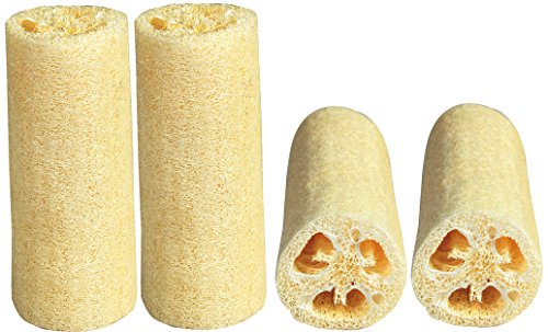 Luxehome 4-Pack Loofah Sponge נמדד באורך 6 אינץ