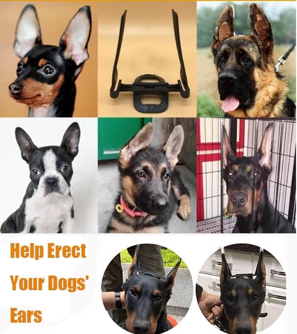 1 כלב אוזן פרסום ערכת, שרירי בטן גבוהה אלסטי חומר, לחיות מחמד כלב אוזן לעמוד תמיכה, כלב אוזן לעמוד
