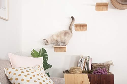 מייזו חוסר: קיר רכוב חתול מדף, עץ חתול ריהוט, צף חתול מוט, חתול עץ