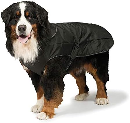 עיצוב דני רתמה שחורה 2 ב 1 מעיל כלבים אולטימטיבי 35 סמ