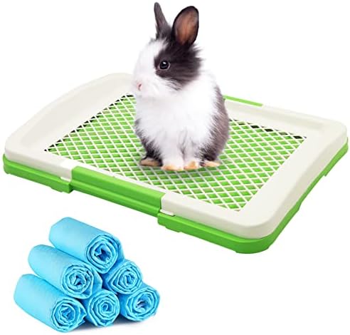 מחבת המלטה של ​​ארנב ארנב עם 6 יחידים רפידות פיפי חד פעמיות, קופסת גינאה קופסת פלסטיק פלסטיק חיה קטנה