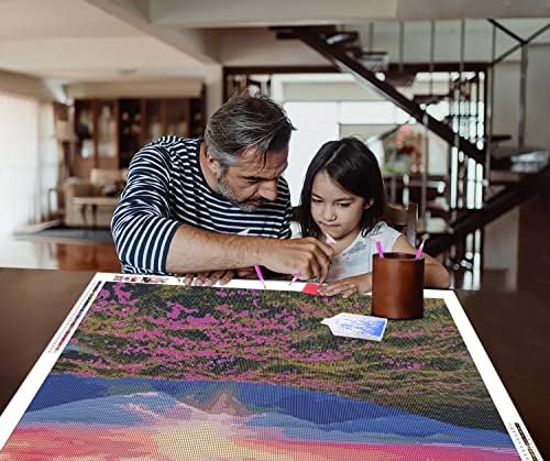 ZGMAXCL 5D ערכות ציור יהלומים DIY למבוגרים וילדים מקדחים מלאים הרים ופרחים נוף ריינסטון קישוטי בית בגודל גדול