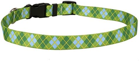 צהוב כלב עיצוב, סיד ירוק ארגייל כלב צווארון, נוסף קטן 3/8& 34; רחב ומתאים צוואר 8 & 34; כדי 12