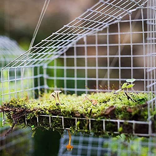 חוט רשת, 304 נירוסטה עוף חוט רשת, גדר חוט רשת עבור לול / לרוץ/כלוב/עט / ירקות גן ובית שיפור פרויקטים