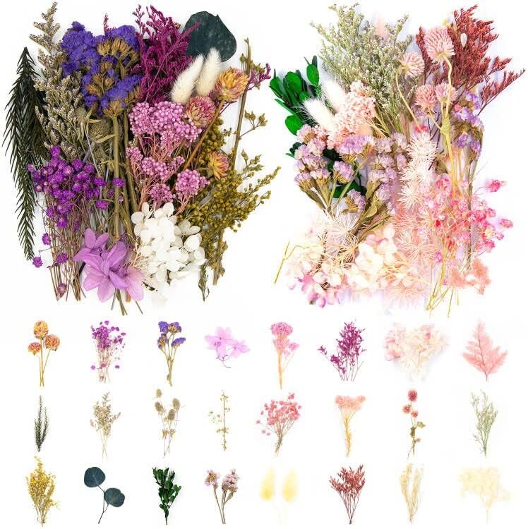 Vignee אמיתי פרחי עלים מיובשים פריחים מחוברים צבעוניים צבעוניים צבעוניים לחינניות לחינניות לתכשיטי