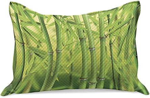Ambesonne Bamboo Print Print SLING CILLOWCOVER, מקרוב של נבטי במבוק גבעול טבע בגשם טרופי יער