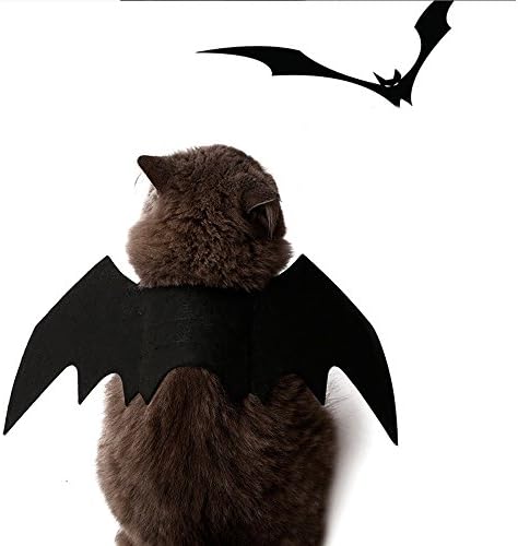 תלבושת עטלף של עטלף כלב ליל כל הקדושים