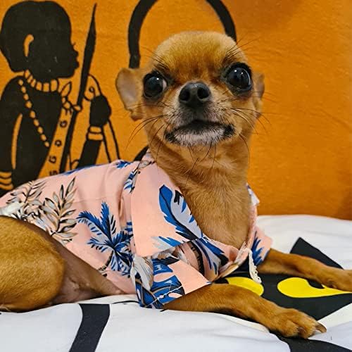 כלב הוואי חולצה כלב חולצות לכלבים קטנים ילד קיץ גור בגדי צרפתית בולדוג בגדי קוקוס עץ אננס דפוס כלב חולצות חתול