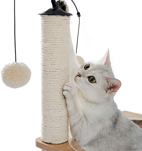 ריהוט לחתולים מגדל עץ חתולים עם סיסל מגרד עמדות ערסל פלטת מיטה חתול משלשלת כדור. כדור טיפת כרית שקוף