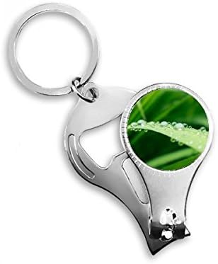 צמח עלה ירוק תמונה טבע ציפורניים ניפר טבעת מפתח שרשרת שרשרת פותחן פתיחת פתיחת