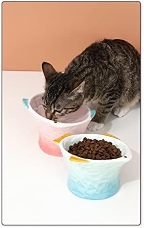 קרמיקה העלה חתול מזון קערת עמילות לחיות מחמד קערה עם אנטי להחליק להקה,מלוכסנת חתול צלחת, הטיה זווית להגן חתול