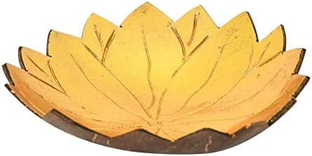 בלומינגוויל דקורטיבי מעטפת קוקוס קערה בצורת לוטוס, 6 L x 6 W x 3 H, זהב