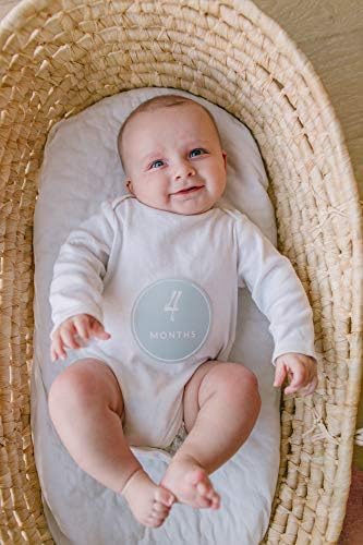 מדבקות חודש Maxwell Baby Milestone מודרני מדבקות 16 אריזה גיל 1 עד 12 חודשים גיל 4 אינץ 'כחול ואפור