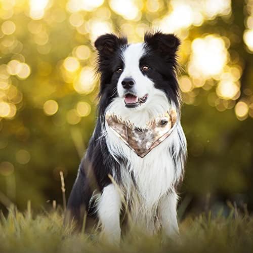 בעלי החיים כלב גולדן רטריבר דפוס כלב בנדנות,2 חבילה רך רחיץ חיות מחמד צעיף משולש לכלבים גדולים גורים וחתולים