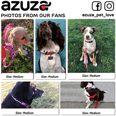 צווארון כלבים רפלקטיבי של Azuza ומערך הרצועה, צווארון עם רצועה תואמת לכלבים בינוניים וגדולים קטנים ...