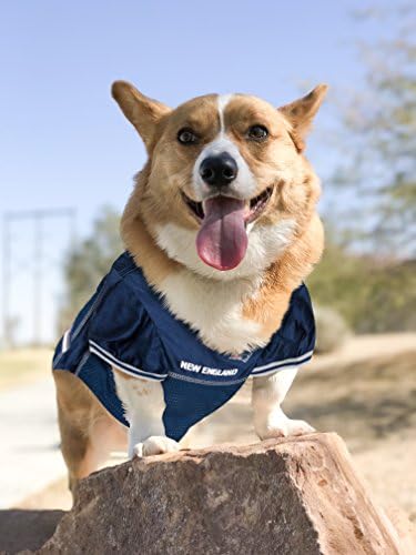 ניו אינגלנד פטריוטס כלב ג ' רזי, גודל: אקס-סמול. תחפושת ג ' רזי כדורגל הטובה ביותר עבור כלבים & מגבר; חתולים.