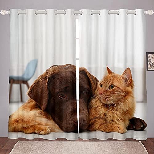 וילונות חלון חתול וכלב ארוזברידיאלי כלב כלב מקסים כלב חתול כתום וילונות חלון חיות חמוד פנלים וילון