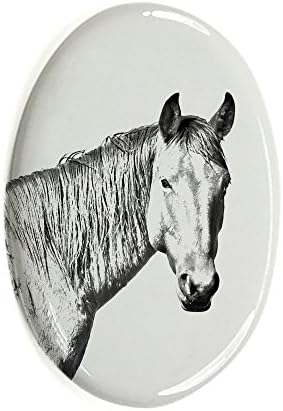 ארט דוג, מ.מ. סוס מדבר נמיב, מצבה סגלגלה מאריחי קרמיקה עם תמונה של סוס