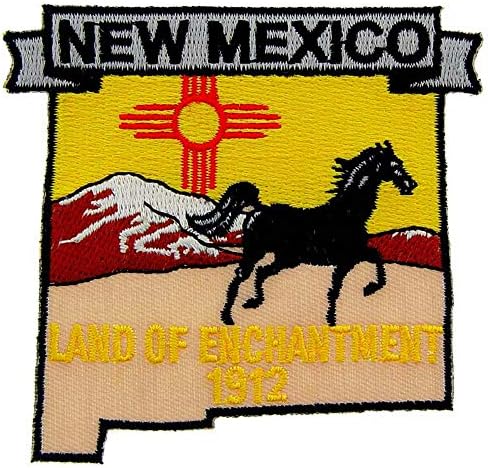 סיכת דש מפה בצורת מדינת ניו מקסיקו