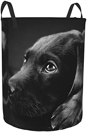 גורים כלב מודפס כביסה סל מתקפל עגול סל בגדי אחסון דלי צרכי היומיום אחסון תיק שני גדלים