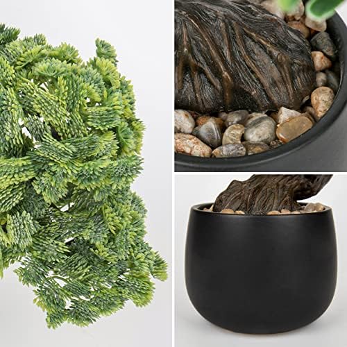 עץ בונסאי מלאכותי ג'וניפר צמחים צמחים מקורה צמחים מזויפים תפאורה עם סירי קרמיקה שחורים לשולחן שולחן שולחן משרדי