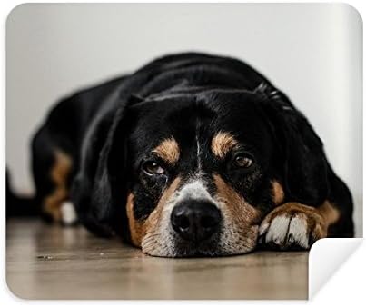 כלב חיות מחמד בעלי החיים צילום רצפת תמונה ניקוי בד מסך מנקה 2 יחידות זמש בד