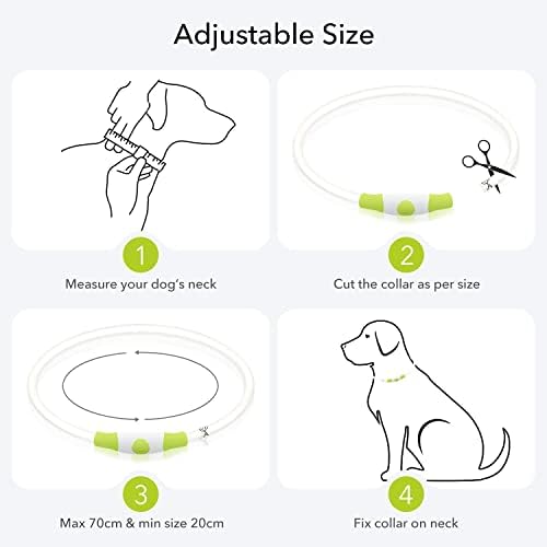 Colaseeme LED צווארון כלבים מדליק צווארוני כלבים 1 ספירת USB נטענת TPU זוהר בטיחות