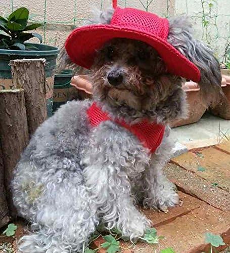 מרופט עגול שוליים נסיכת כובע מגן כובע לחיות מחמד כלב רשת נקבובי שמש כובע עם אוזן חורים עבור קטן, נוסף
