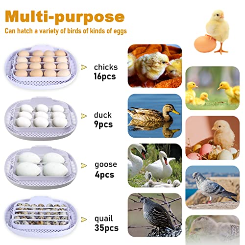 16 חממות ביצים לבקוע ביצים עם בקרת טמפרטורה, נרות ביצה חממות עופות אוטומטיות של עופות לבקיעת תרנגולות,