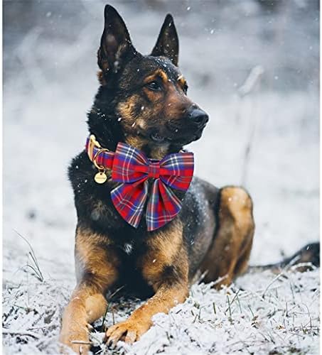 צווארון כלבי כותנה לחג המולד של DSFEOIGY עם צווארון גור כותנה של סיילור אדום וכחול משובץ