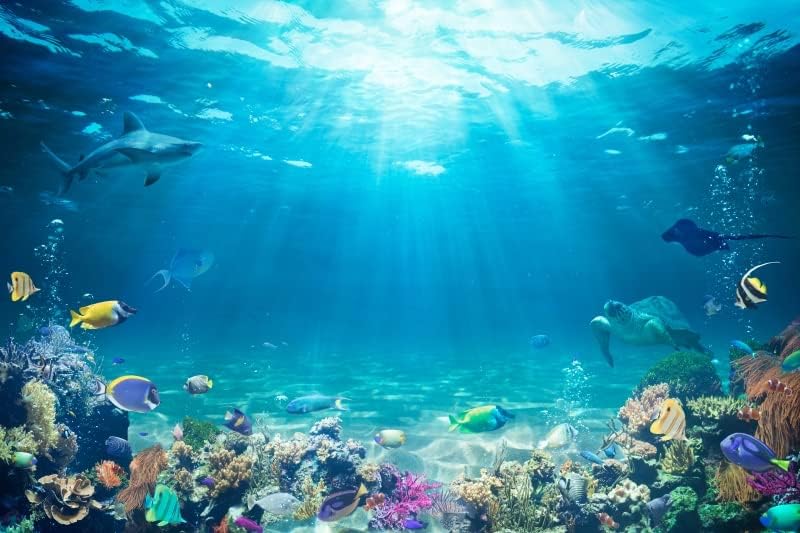 יייל 15 על 10 רגל עולם ים רקע מתחת למים עולם דולפין אקווריום רקע תחת ים תפאורות אלמוגים דגים תחת ים מערת דגי