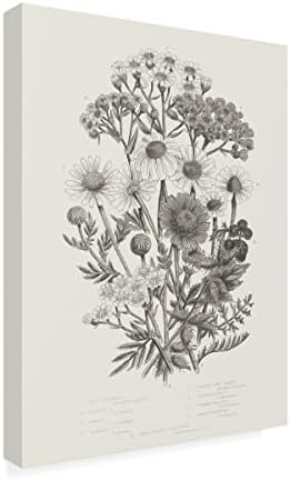 סימן מסחרי אמנות 'צמחים פורחים נגד נייטרלי' אמנות קנבס מאת תיק תפוחים פראי 14x19