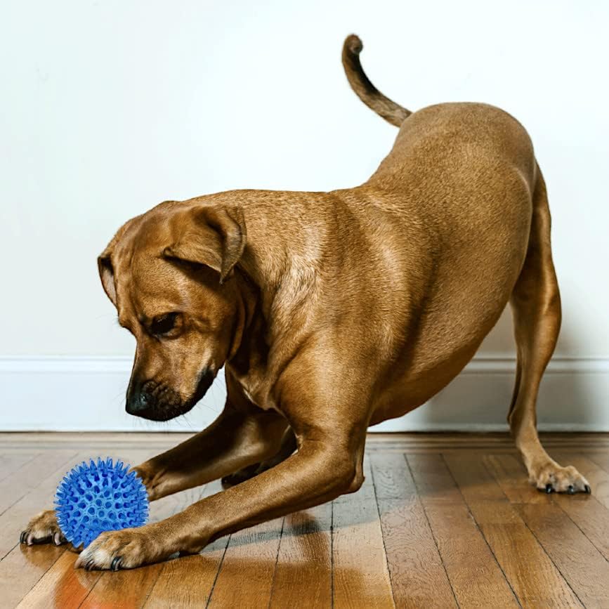 תיבת חיות מחמד חורק גומי ספייק צעצוע כדור לכלבים-3.5