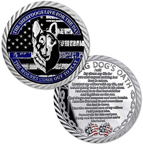 ארצות הברית 9 משטרת אתגר מטבע דק כחול קו אכיפת החוק מתנה