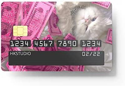 Studio Studio Skin Stigher Money Cat עבור EBT, תחבורה, מפתח, אשראי, עור כרטיס חיוב - הגנה והתאמה