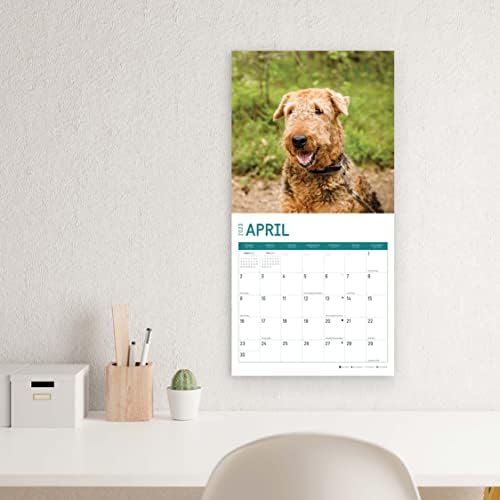 2023 לוח השנה הקיר של Airedale Terrier