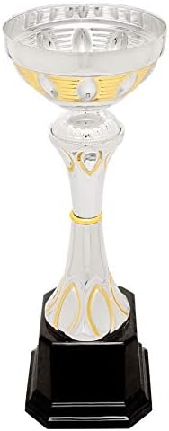 גביע כוסות פרסי עשור, כסף וזהב - פרס תאגיד גביע מתכת - גובה 9.75 אינץ ' - צלחת חרוטה על פי בקשה