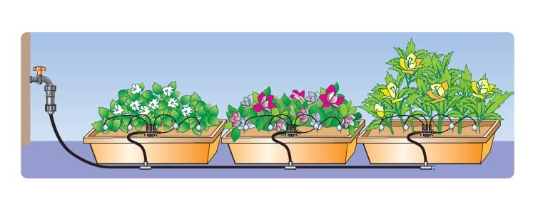 מערכת ההשקיה המיניאטורית של לילי. ערכת טפטוף של השקיה במים לצמחי הגינה שלך, מיטה וחממה מורמים