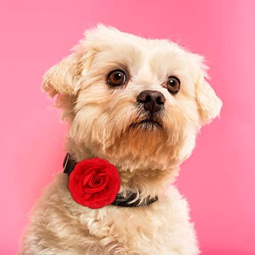 8 חתיכות כלב פרחי צווארון לחיות מחמד צווארון פרחי כלב קסמי פרח 8 סמ חתול פרח צווארון לחיות מחמד עניבת