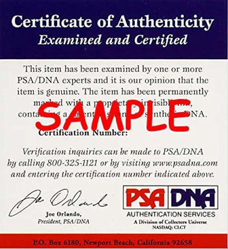 מייק שמידט PSA DNA חתימה 8x10 1974 תצלום מקורי תצלום חתום אותנטי