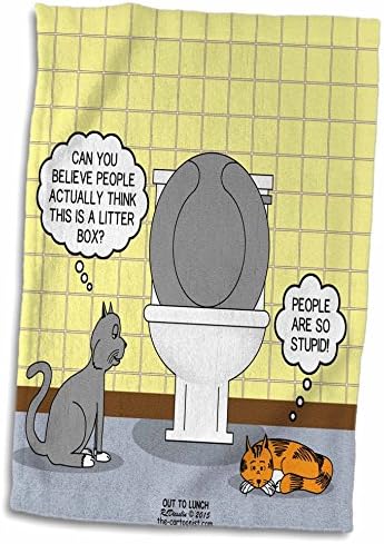 3 חתולים מתלבטים באנשים ושירותים שלהם - מגבות
