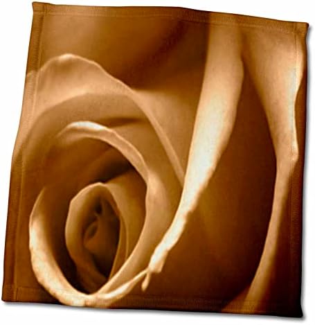 3drose tdswhite - צילומי טבע עונתיים בקיץ - ורד סתיו פרחוני - מגבות