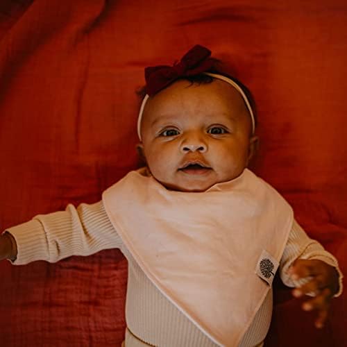 פארקר בייבי בנדנה ריר ריר 8 חבילות ביקבי תינוקות לבנות - סט וייל