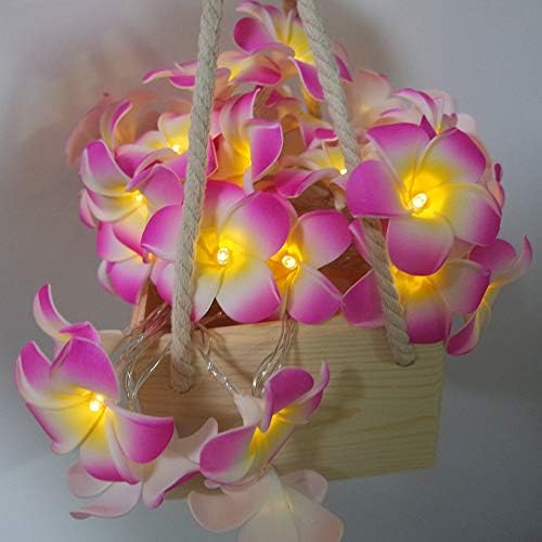 תאורת LXCOM אורות מיתרי פרחים פלומריה אורות מיתרים 20 מיתר מיתר אור הוואי קצף מלאכותי פלומריה פרח